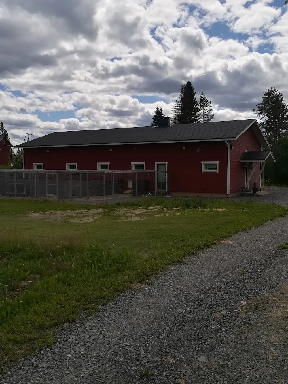 Lemmikkihotelli Tassuhaka - North Karelia pet otel görseli 3