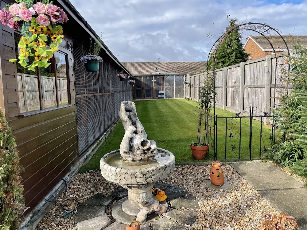 Appleblossom Cattery - North Lincolnshire pet otel