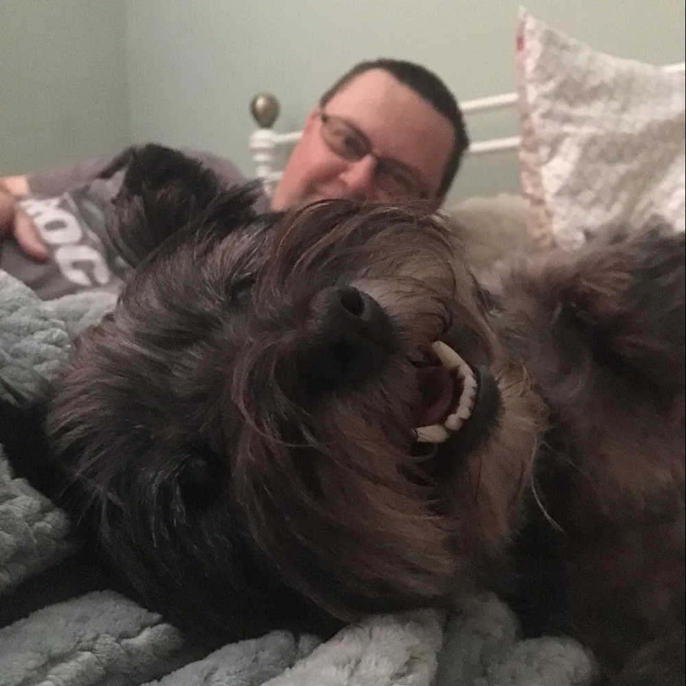 Aslan's Retreat Pet Holiday Home - North Lincolnshire pet otel görseli 5