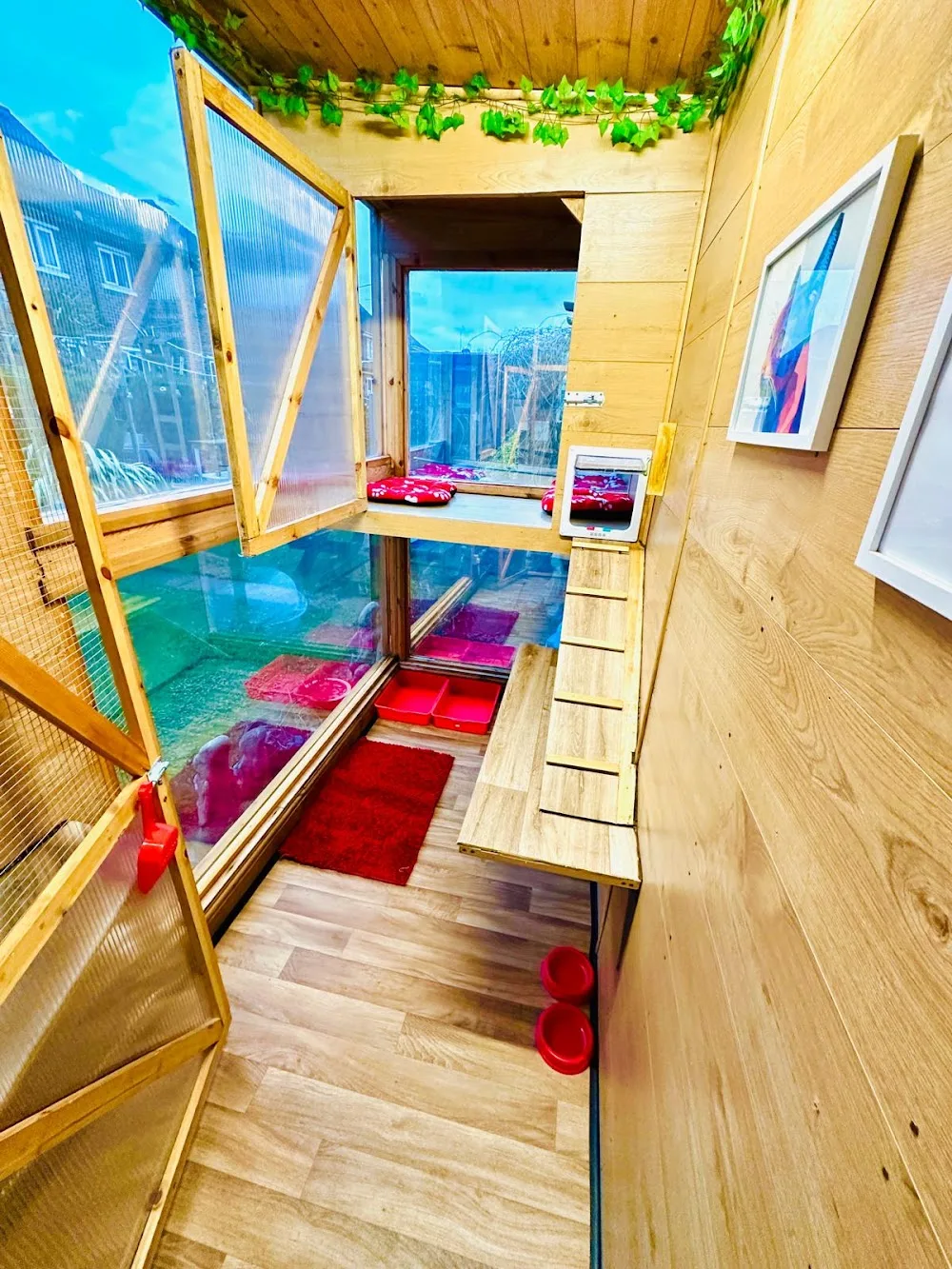 Coral's Cabin Cattery - North Lincolnshire pet otel
