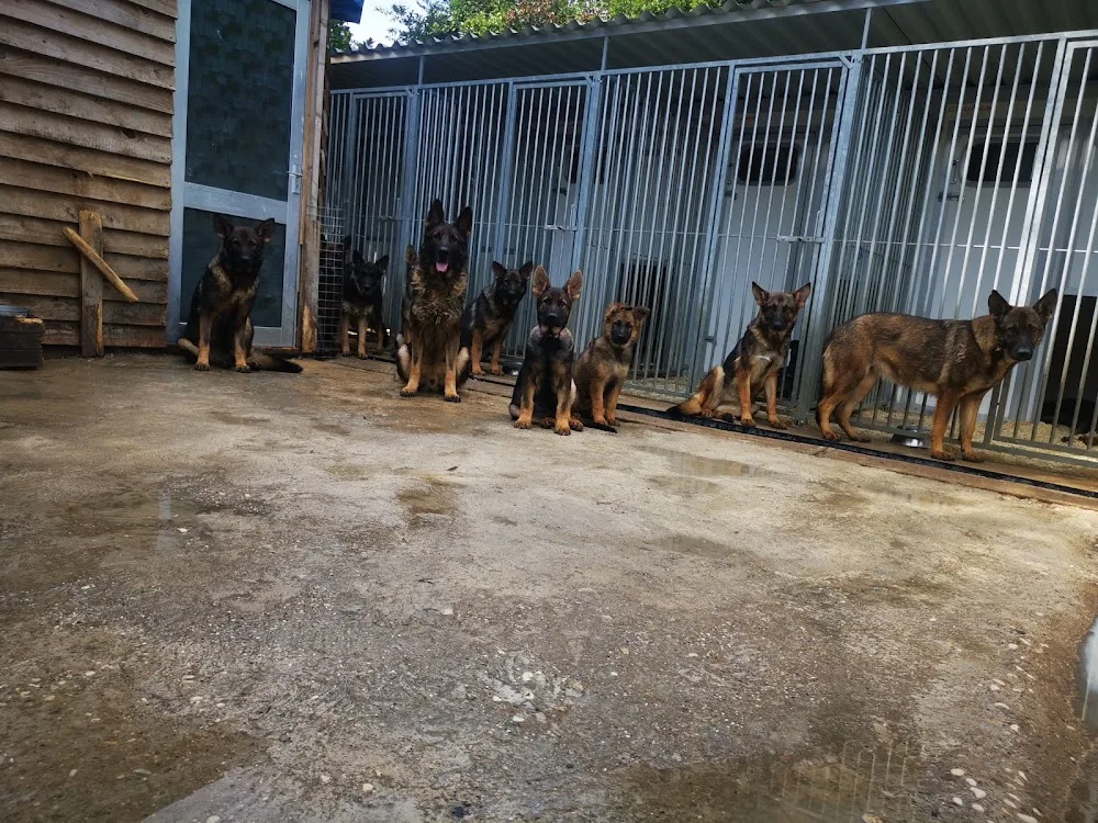 Vom Geolupa Kennels - North Lincolnshire pet otel görseli 2
