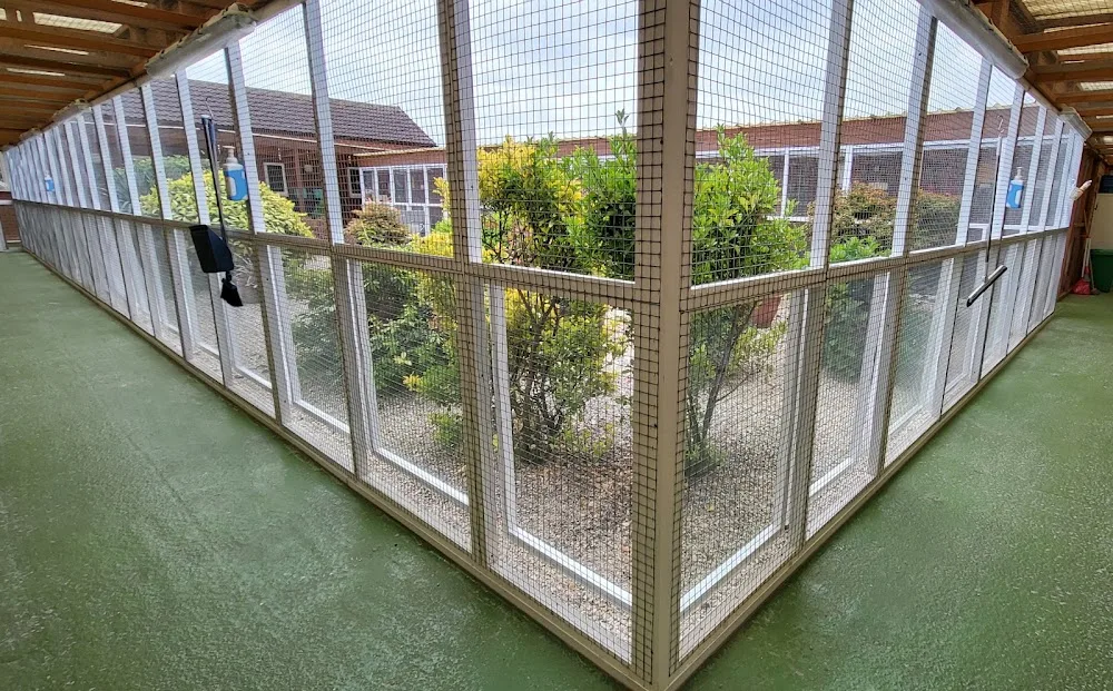 Walkers and Sitters - North Lincolnshire pet otel görseli 3