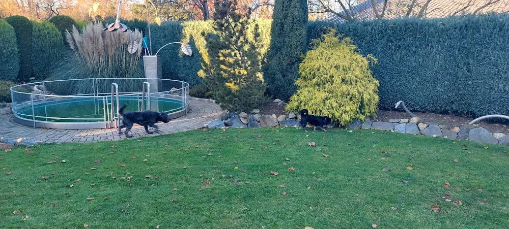 Hundehotel Kranenburg - North Rhine-Westphalia pet otel