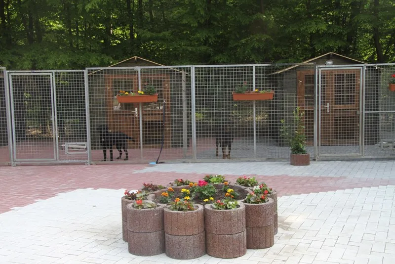 Hundehotel Moers - North Rhine-Westphalia pet otel görseli 6