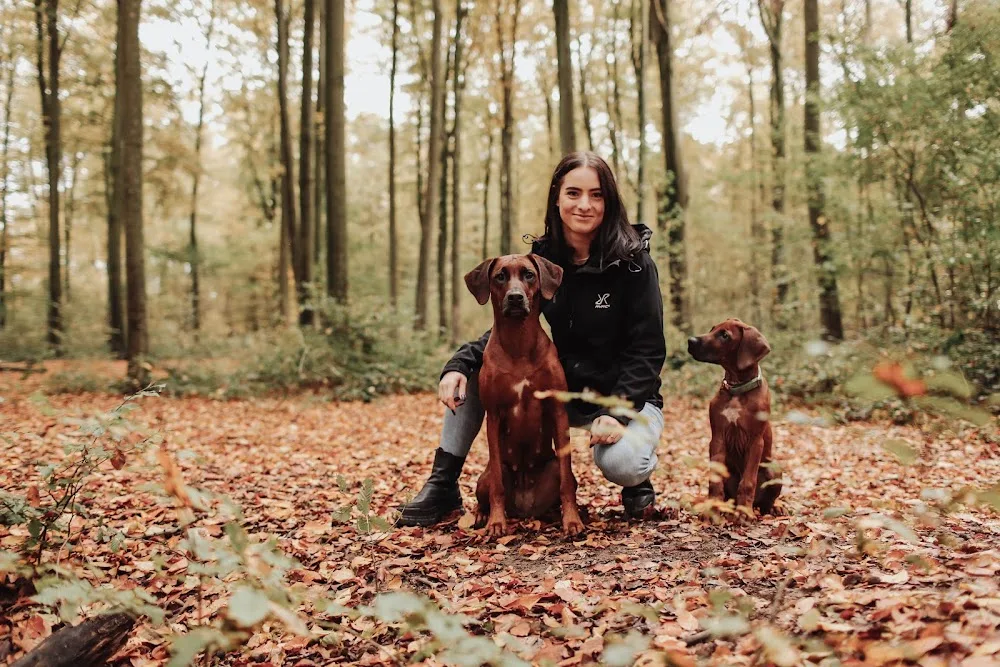 Pawfect Dogcare - North Rhine-Westphalia pet otel