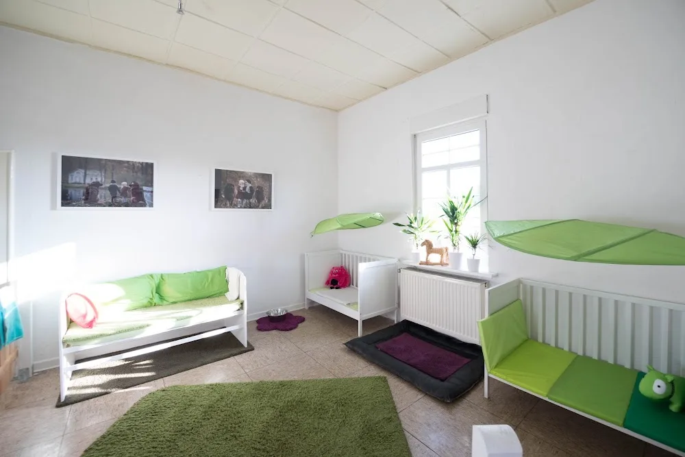 Service-Hund Roswitha Konnerth-Becker - North Rhine-Westphalia pet otel görseli 3
