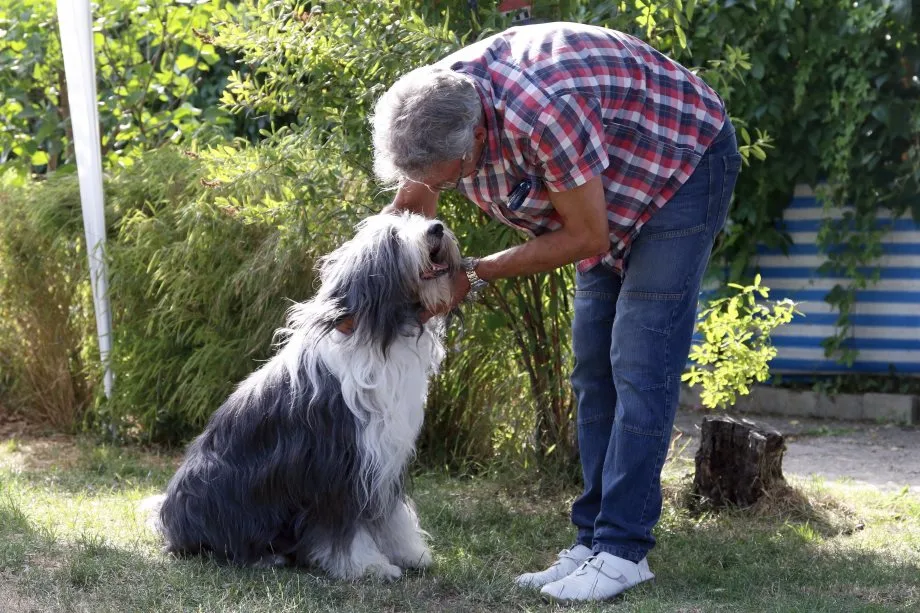 Tierpension Am Niederrhein in Emmerich - North Rhine-Westphalia pet otel görseli 2