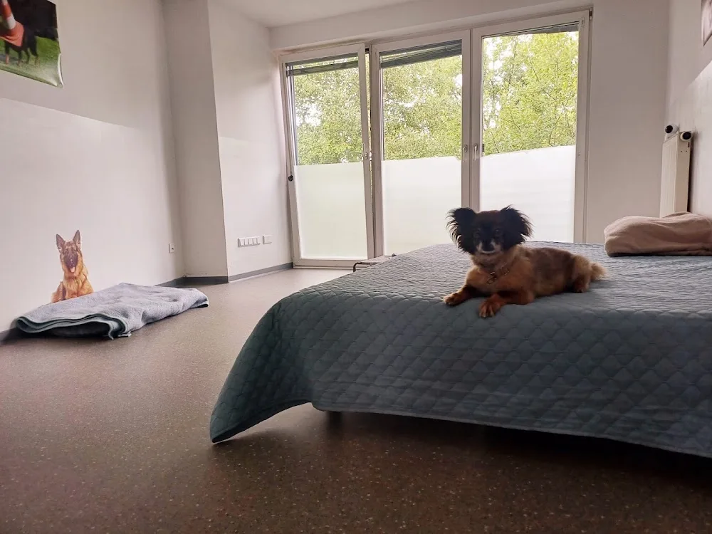 Verstehst Du mich? & Mehr - North Rhine-Westphalia pet otel görseli 3
