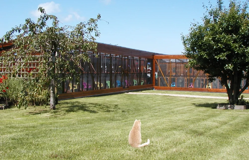Cleeve Country Cattery - Official 5 Star Cattery - North Somerset pet otel