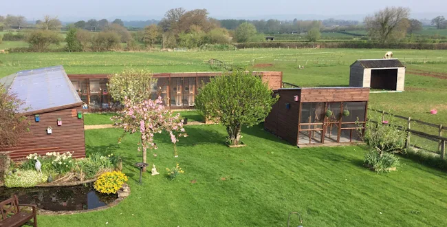 Cleeve Country Cattery - Official 5 Star Cattery - North Somerset pet otel görseli 3