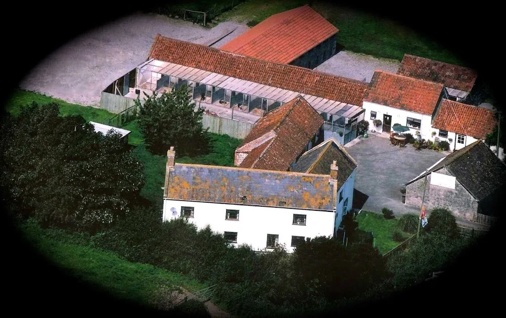 Delhorn Boarding Kennels & Cattery - North Somerset pet otel görseli 3