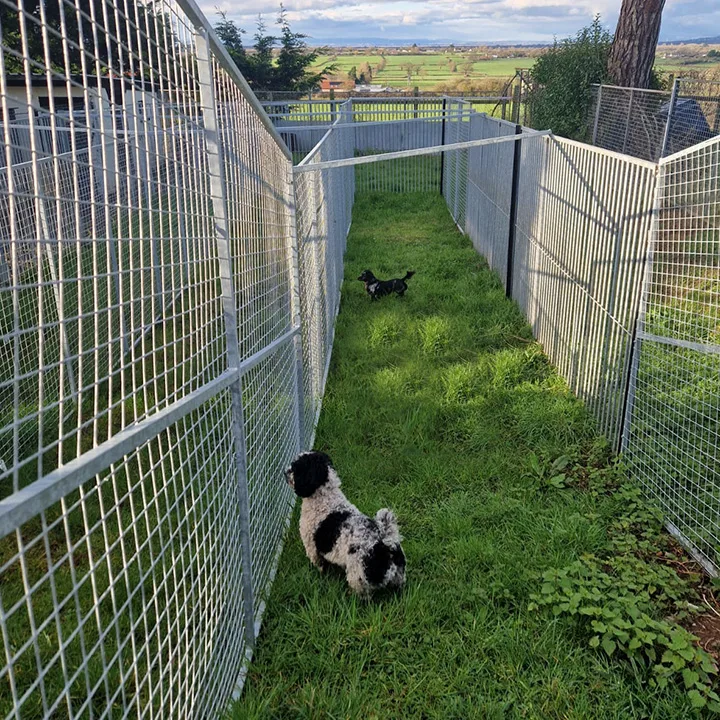Highfield Kennels - North Somerset pet otel görseli 2