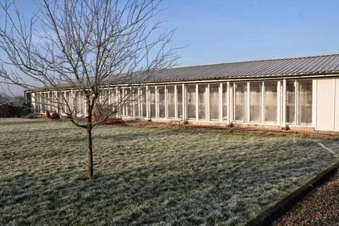 The Cattery At Northwoods - North Somerset pet otel