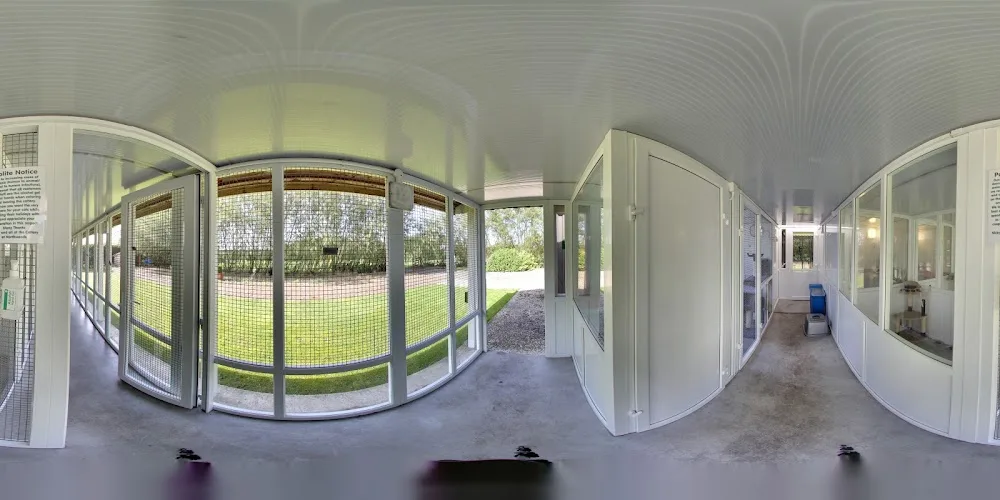 The Cattery At Northwoods - North Somerset pet otel görseli 3