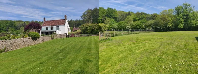 Woolmers Home Dog Boarding - North Somerset pet otel görseli 2