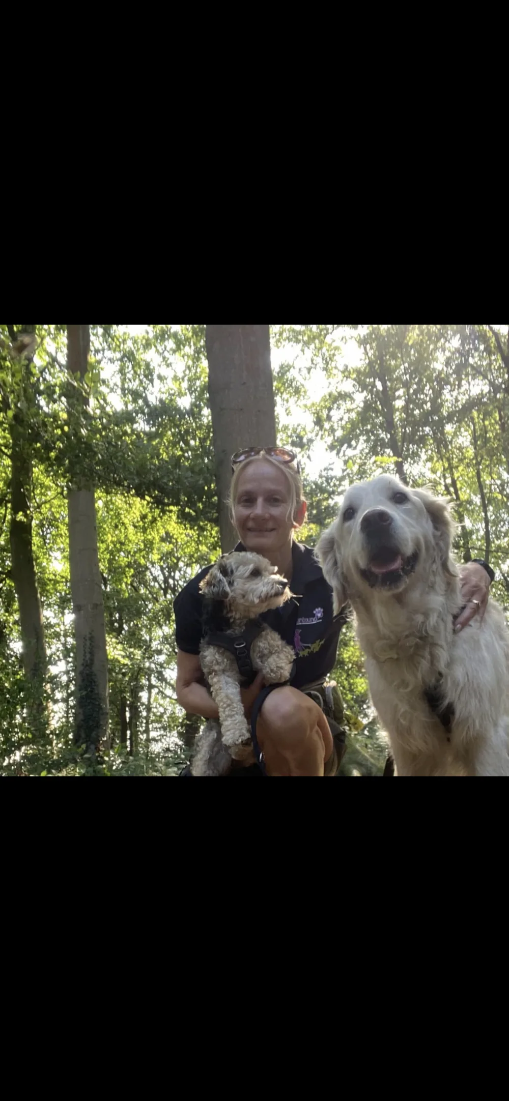 Funbound - Home Boarding / Dog Walking/ Dog Running - North Walsham pet otel