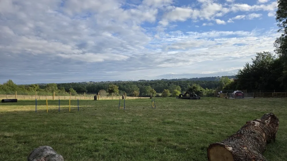 Brackenfarg Kennels - Northallerton pet otel görseli 2