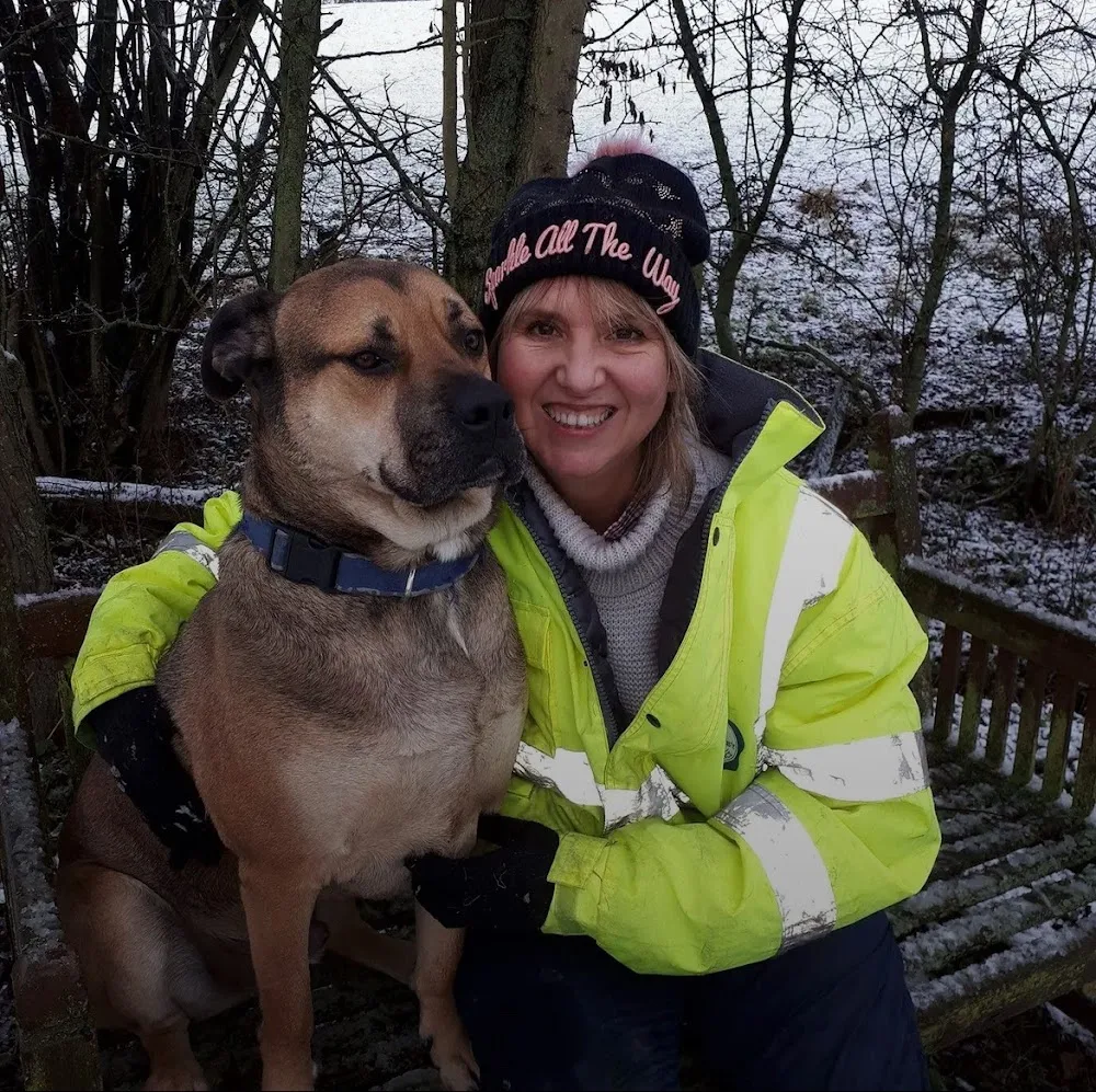 Country Canines Home-from-Home Dog Boarding - Northallerton pet otel