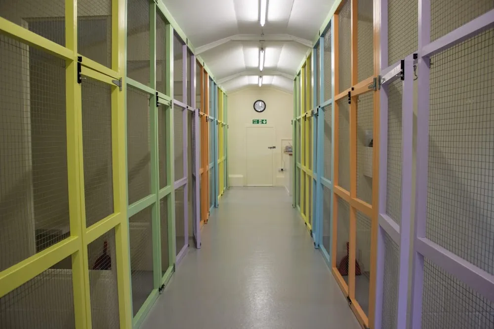 Howgrave Lodge Cattery - Northallerton pet otel
