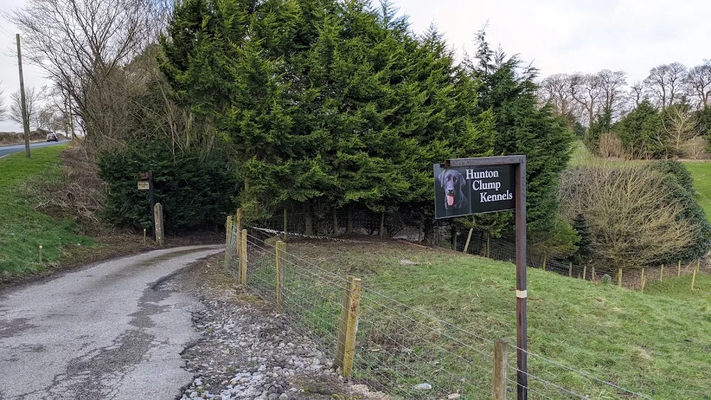 Hunton Clump Kennels - Northallerton pet otel