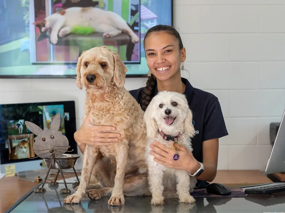 Hanrob Pet Hotels Darwin Airport - Northern Territory pet otel görseli 2