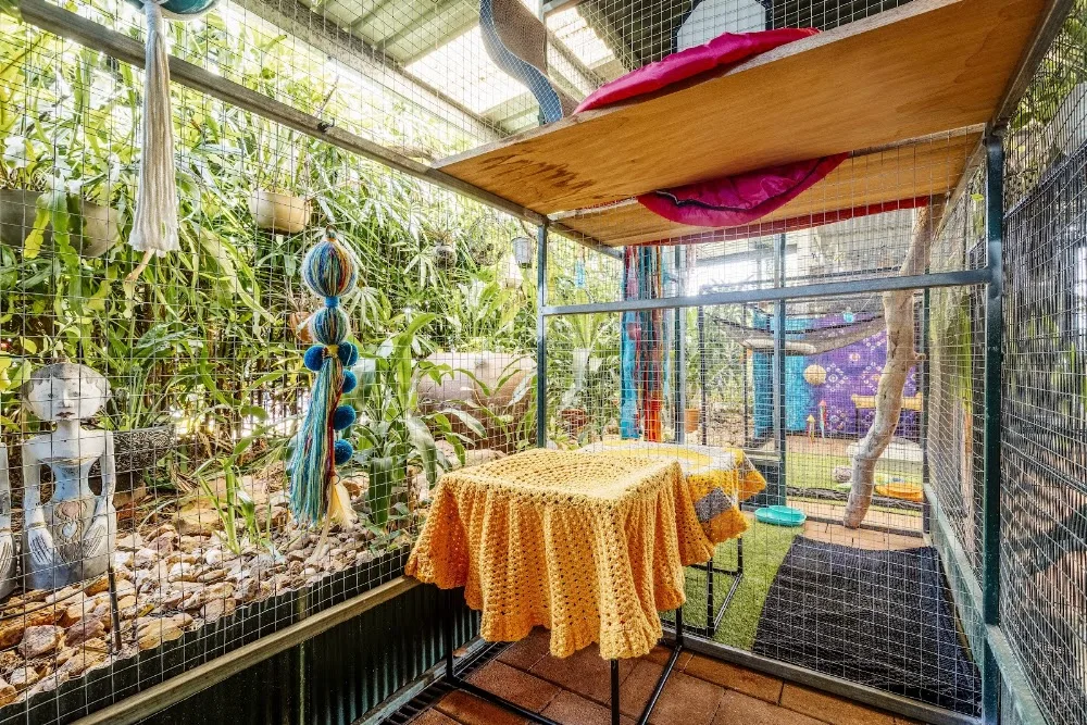 Haus of Gato - Northern Territory pet otel görseli 2