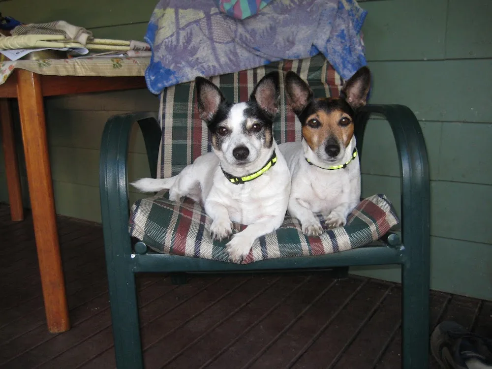 Howard Springs Kennels - Northern Territory pet otel görseli 2