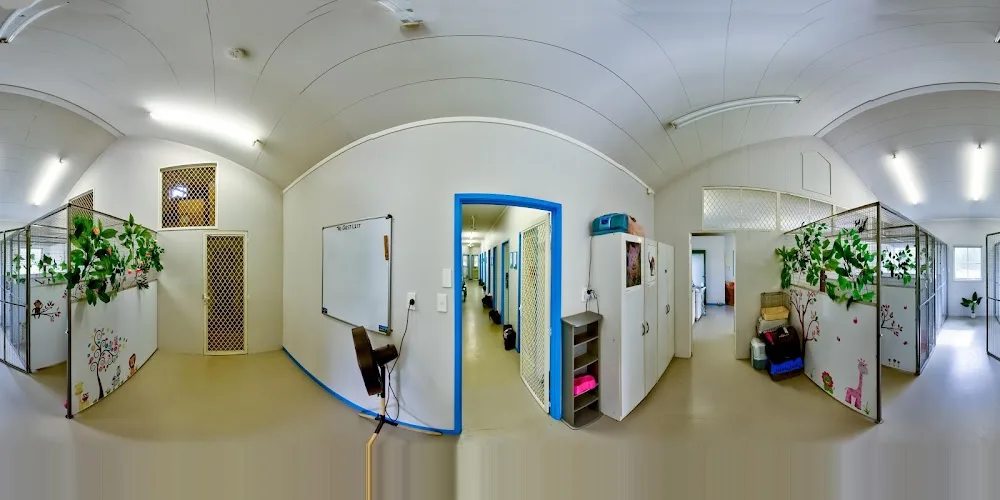 Deloraine Cattery - Northland pet otel görseli 3
