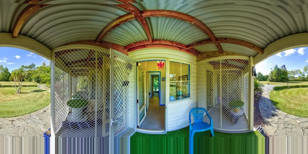 Deloraine Cattery - Northland pet otel görseli 4