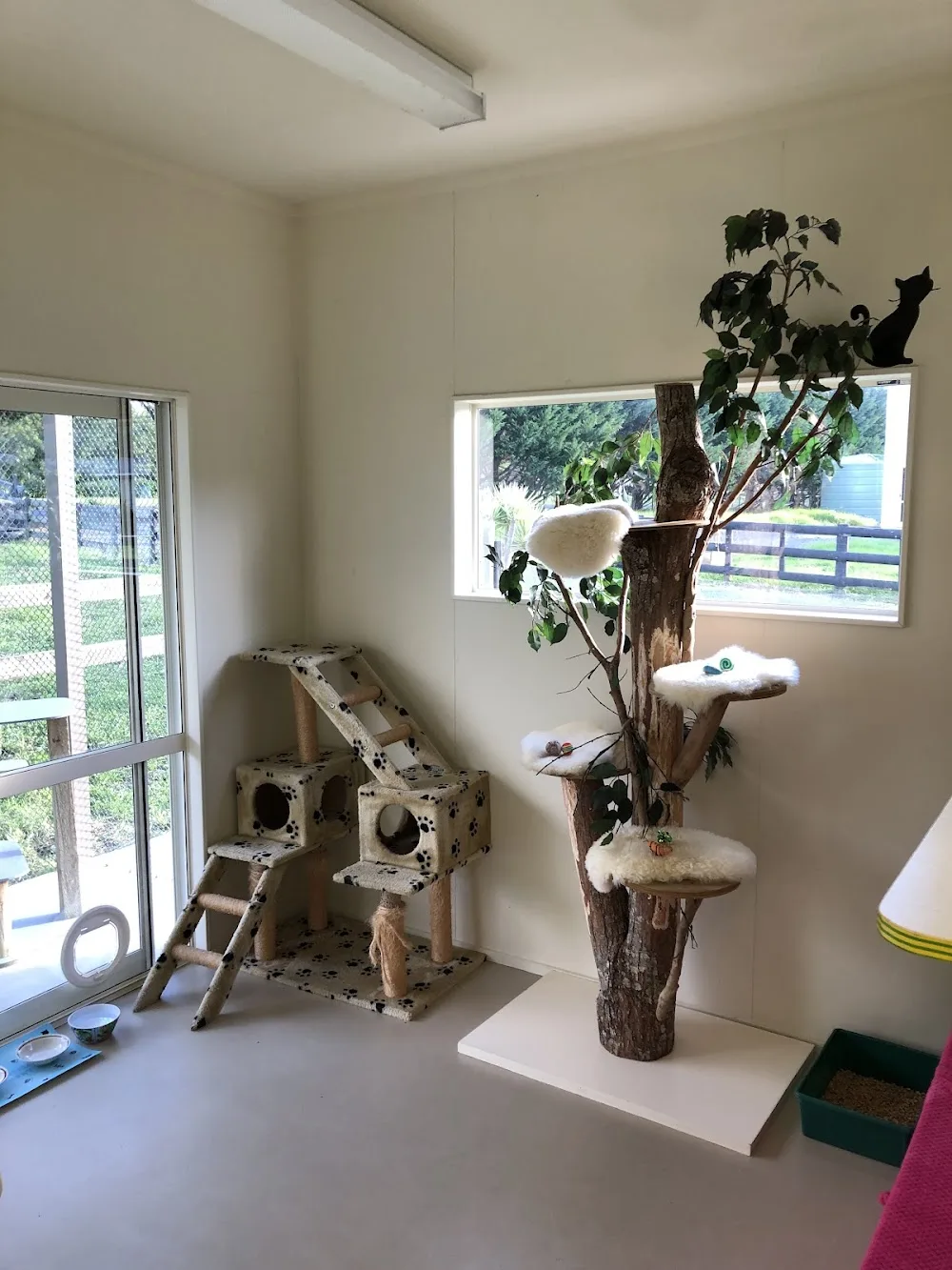 Harris Hillton Cat Resort - Northland pet otel