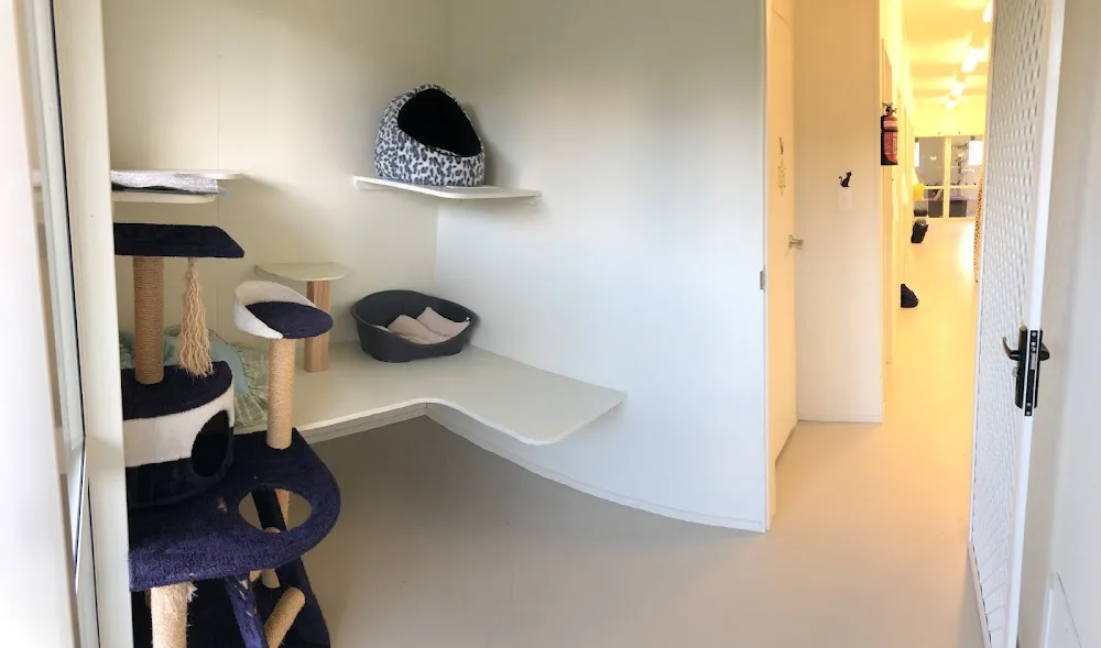 Harris Hillton Cat Resort - Northland pet otel görseli 3