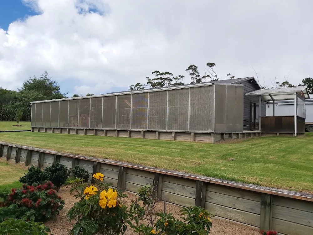 Precious Gems Boarding Cattery - Northland pet otel