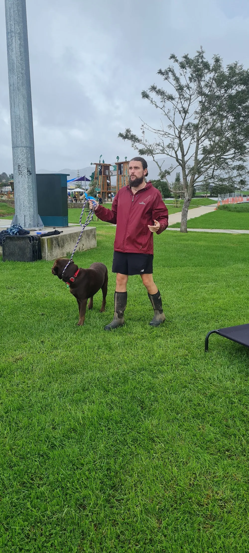 Smart Dog Kennel and Training - Northland pet otel görseli 3