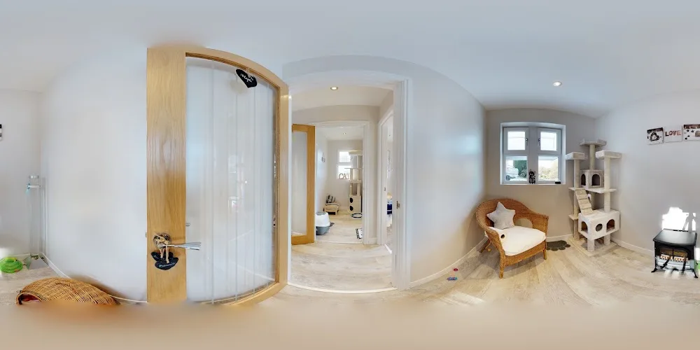 Brooms Dene Luxury Cat Hotel - Northumberland pet otel görseli 3