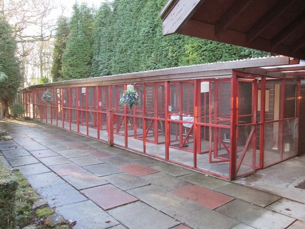 Ferndene Cattery - Northumberland pet otel