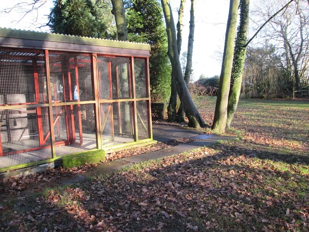 Ferndene Cattery - Northumberland pet otel görseli 3