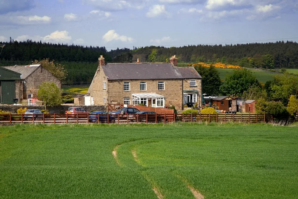 Frankham Fell Boarding Kennels & Cattery - Northumberland pet otel