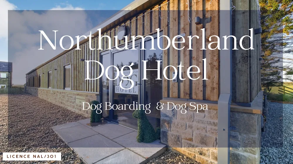 Northumberland Dog Hotel - Northumberland pet otel