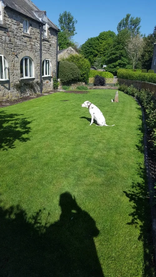 Spotti Dog Home Dog Boarding - Northumberland pet otel görseli 3