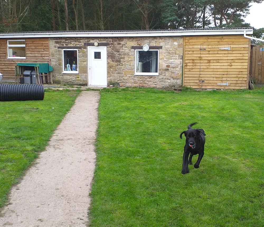 Togston Barns Kennels - Northumberland pet otel