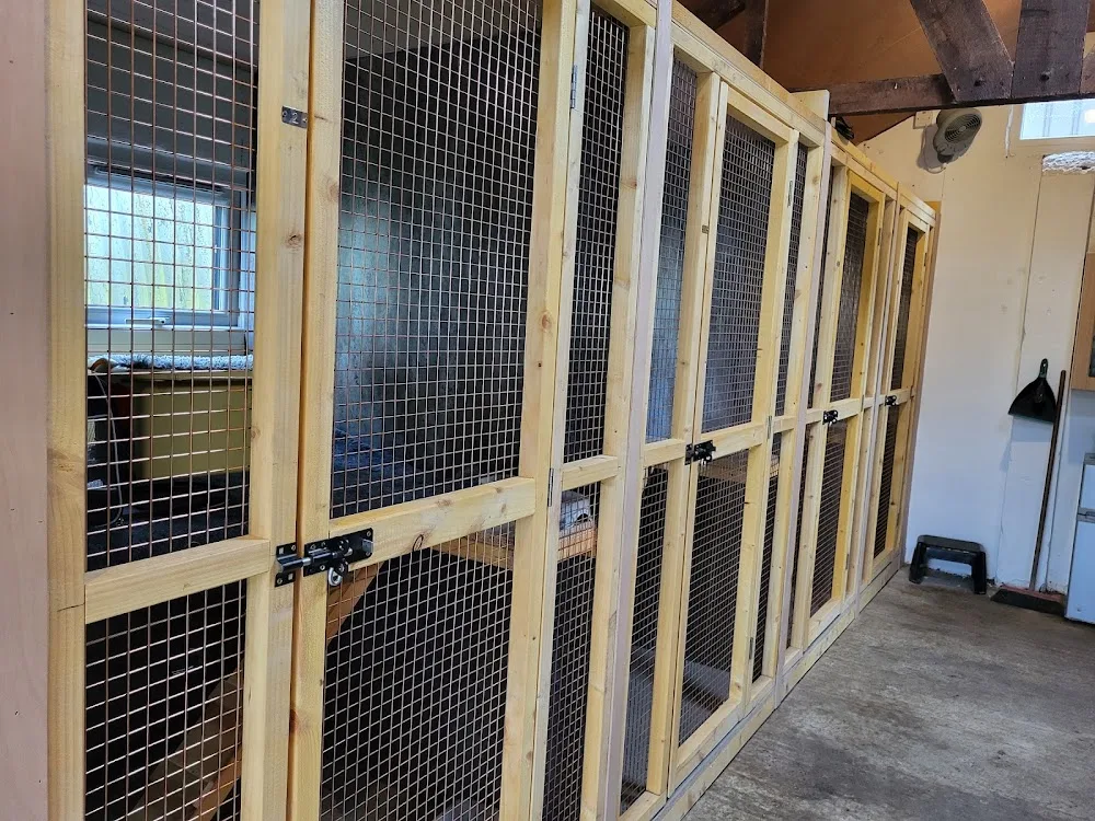 Tollfield Farm kennels and cattery - Northumberland pet otel