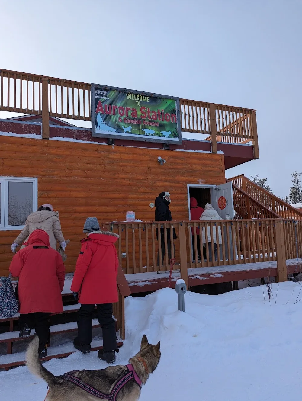 Aurora Station and Enodah Kennel - Northwest Territories pet otel görseli 4