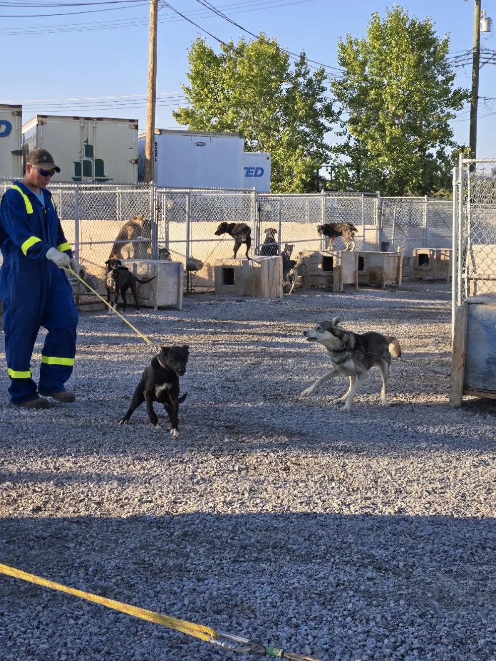 Beck's Sled Dog Kennels & Tours - Northwest Territories pet otel görseli 4