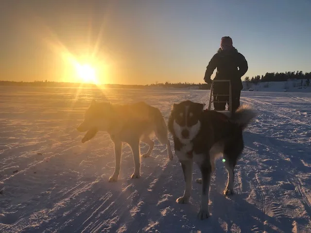 Qimmiq Kennels - Northwest Territories pet otel