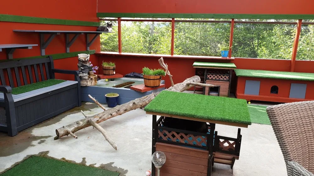 Cat hotel Innherred AS - Norway pet otel görseli 2