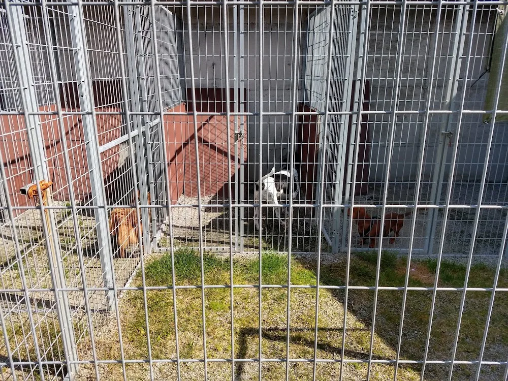 Harmonien Kennel - Norway pet otel görseli 3
