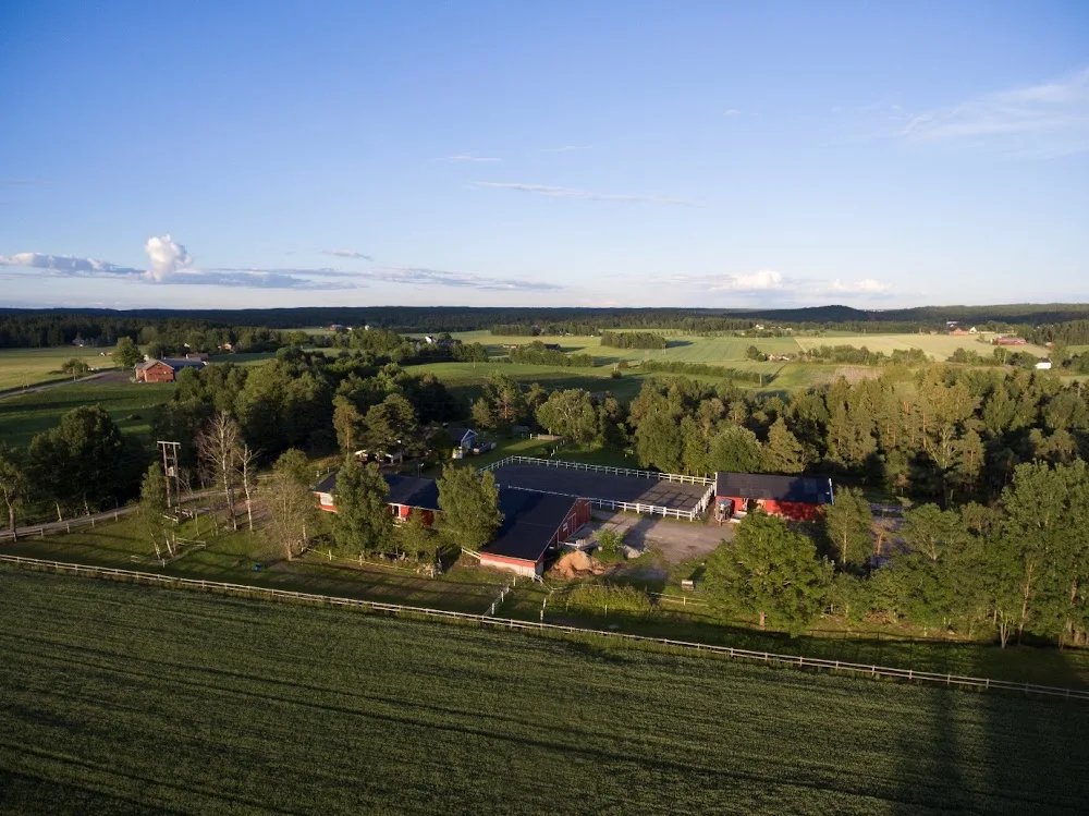 Katteriet Kattepensjonat - Norway pet otel görseli 3