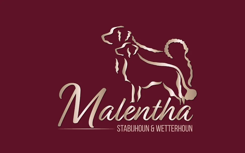 Kennel Malentha - Norway pet otel görseli 3