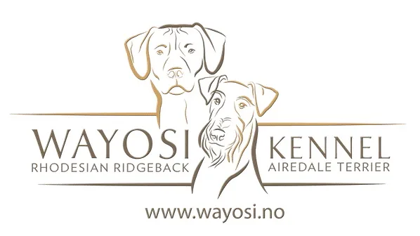 Kennel Wayosi - Norway pet otel