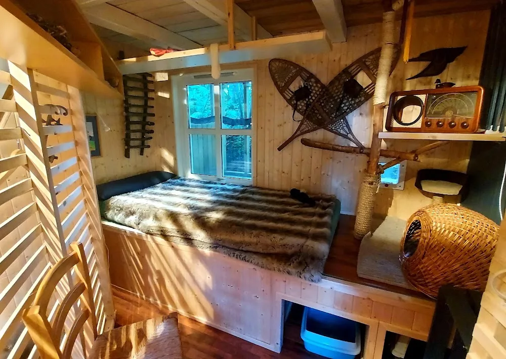 Mjau Kattehotell Sandefjord - Norway pet otel